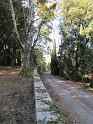 MTBTOSCANA2011  (234)